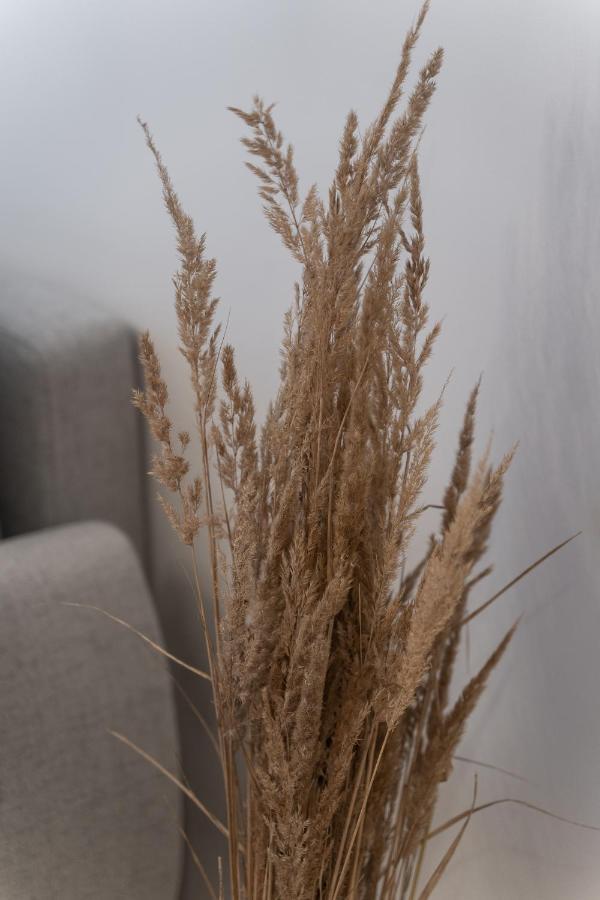 Apartamenty Munn 3 Szczecin Bagian luar foto